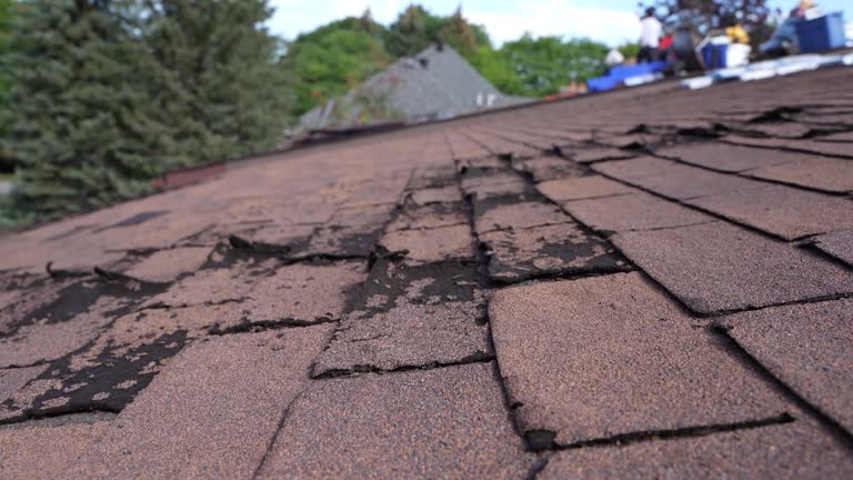 Best 4 Ply Roofing  in Lawai, HI