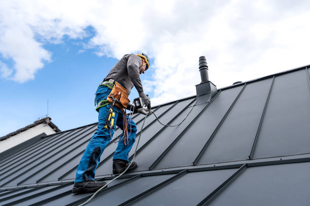 Best Chimney Flashing Repair  in Lawai, HI